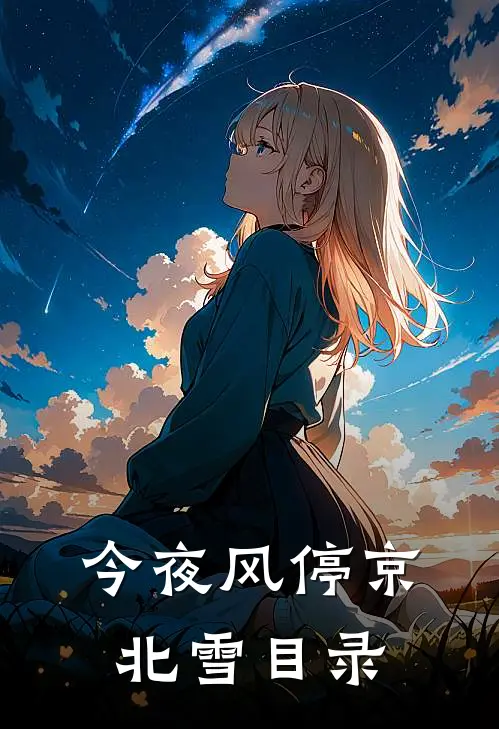 今夜风停京北雪目录