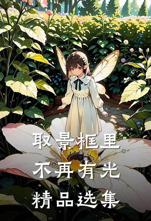 取景框里不再有光精品选集