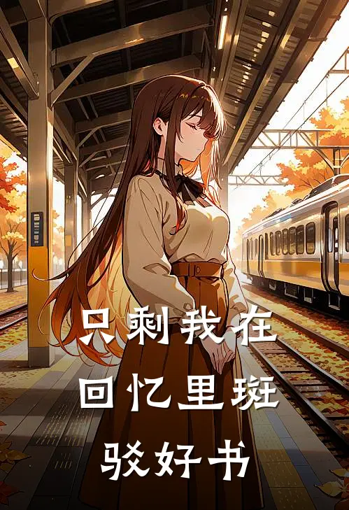只剩我在回忆里斑驳好书