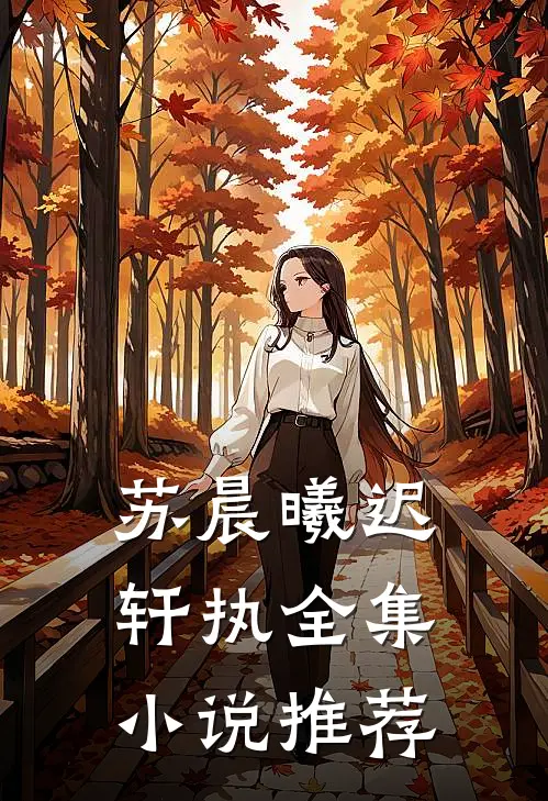苏晨曦迟轩执全集小说推荐