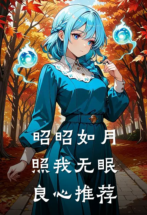 昭昭如月，照我无眠良心推荐