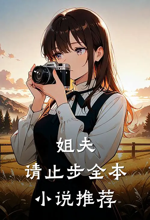 姐夫,请止步全本推荐