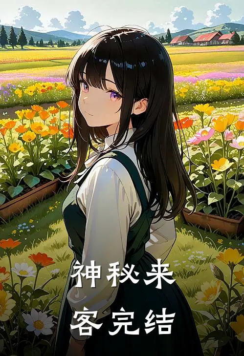 神秘来客完结