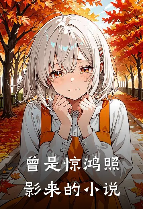 曾是惊鸿照影来的小说