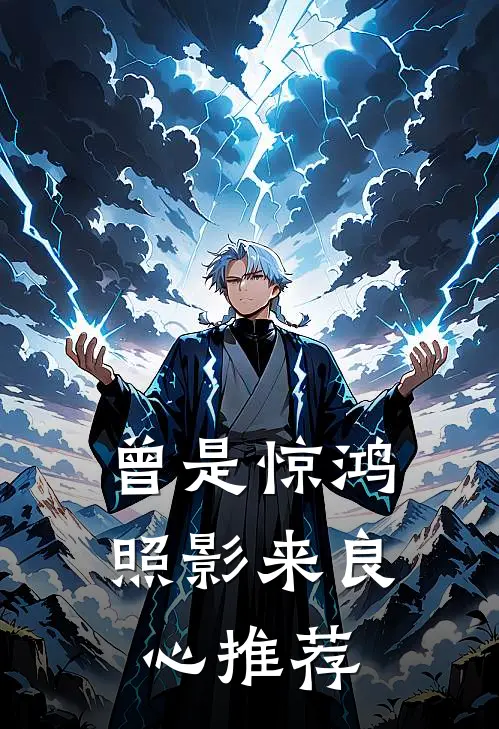 曾是惊鸿照影来良心推荐