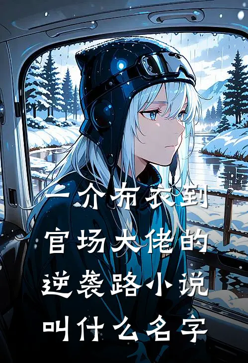 一介布衣到官场大佬的逆袭路小说叫什么名字