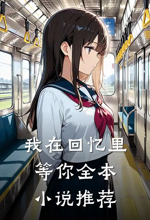 我在回忆里等你全本小说推荐