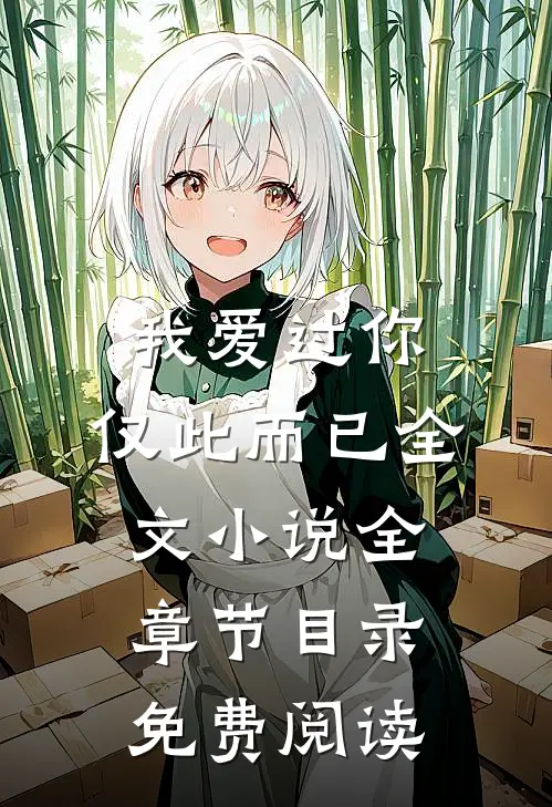 我爱过你，仅此而已全文小说全章节目录免费阅读