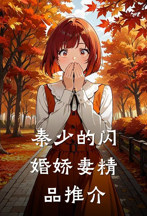 秦少的闪婚娇妻精品推介