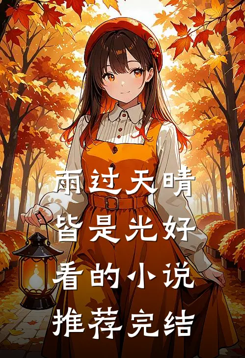 雨过天晴皆是光好看的小说推荐完结