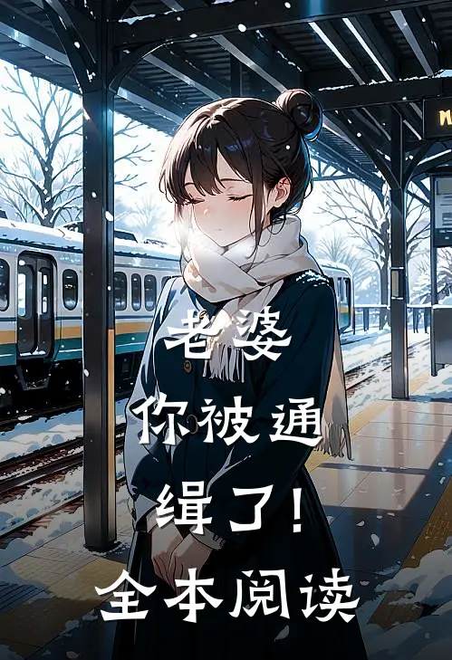 老婆,你被通缉了!全本阅读