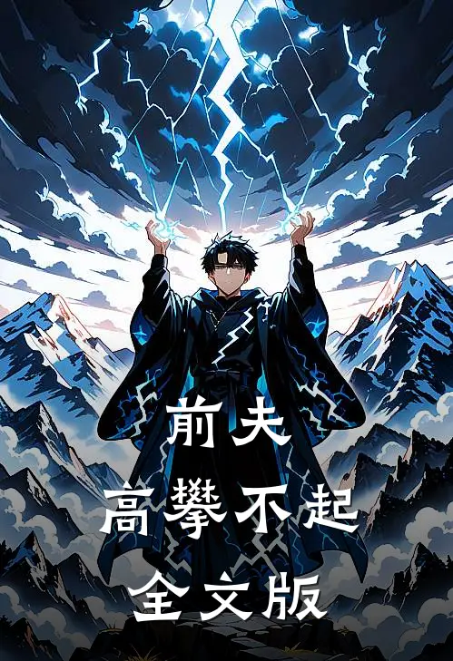 前夫 ，高攀不起全文版