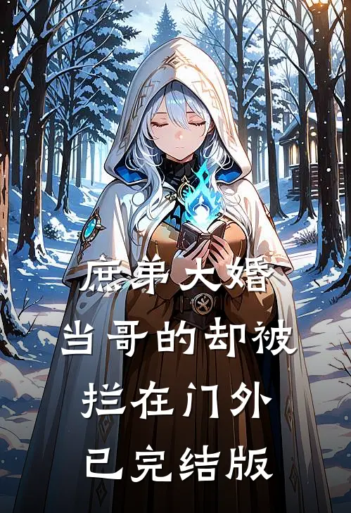 庶弟大婚，当哥的却被拦在门外已完结版