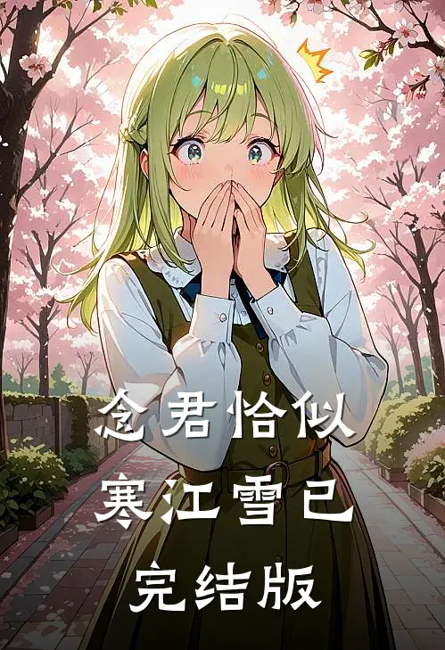 念君恰似寒江雪已完结版