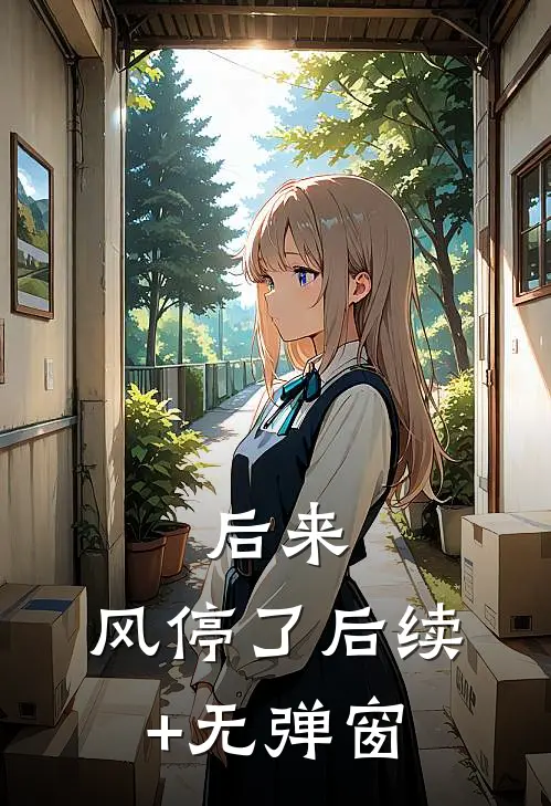 后来，风停了后续+无弹窗