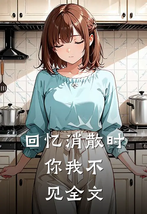 回忆消散时，你我不见全文