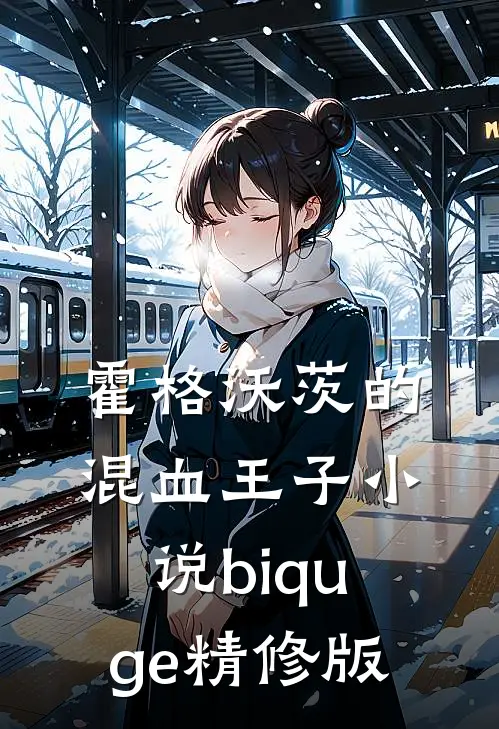 霍格沃茨的混血王子小说biquge精修版