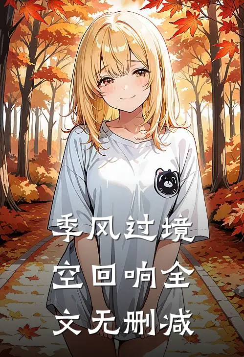 季风过境空回响全文无删减