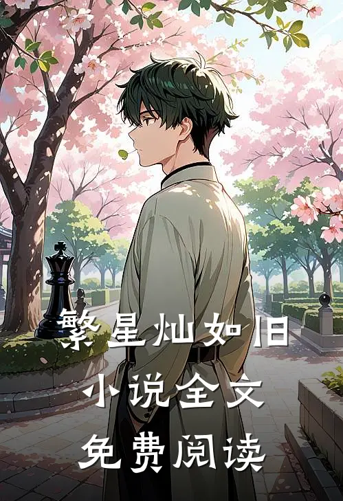 繁星灿如旧小说全文免费阅读