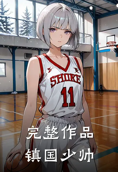 完整作品镇国少帅