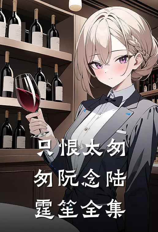只恨太匆匆阮念陆霆笙全集