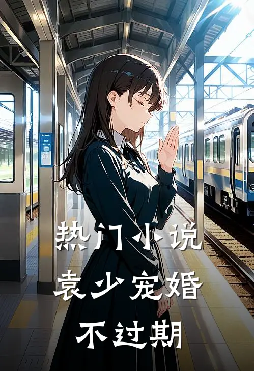 热门小说袁少宠婚不过期