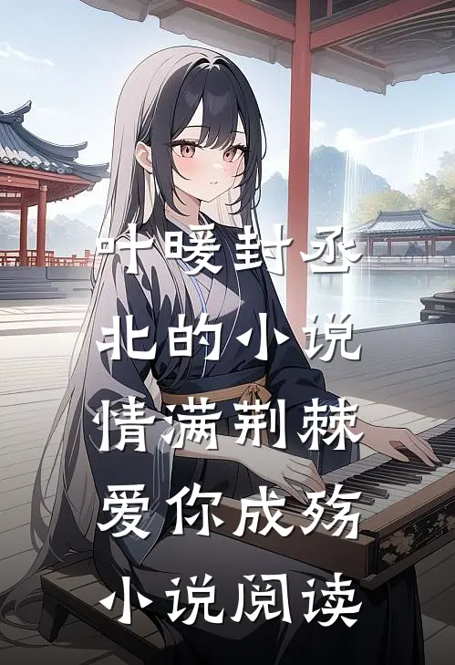 叶暖封丞北的小说情满荆棘，爱你成殇小说阅读