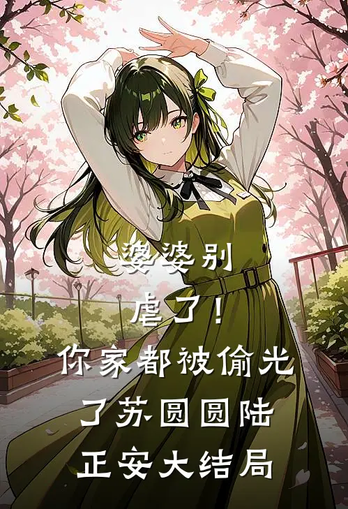 婆婆别虐了！你家都被偷光了苏圆圆陆正安大结局
