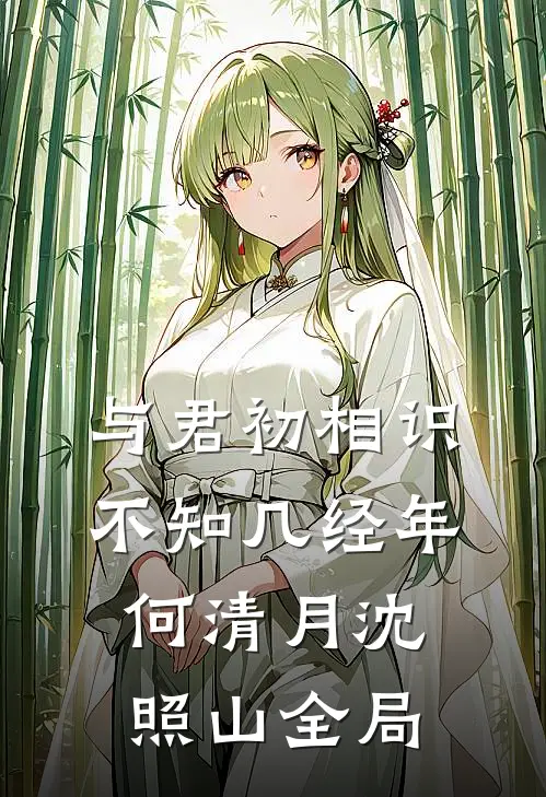 与君初相识，不知几经年何清月沈照山全局
