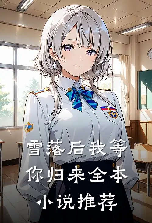雪落后我等你归来全本小说推荐