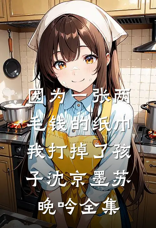 因为一张两毛钱的纸巾我打掉了孩子沈京墨苏晚吟全集