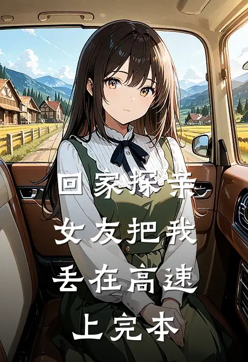 回家探亲，女友把我丢在高速上完本